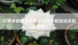 红米手机自动关机（红米手机自动关机在哪里）