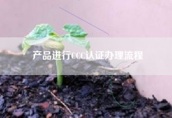 产品进行CCC认证办理流程