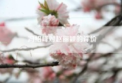 冯绍峰对赵丽颖的评价