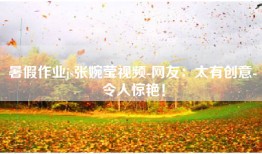 暑假作业js张婉莹视频-网友：太有创意-令人惊艳！