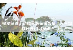 揭秘征途手游腾讯版玩家数量，人气爆棚还是门可罗雀？