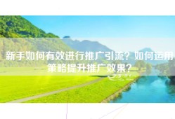 新手如何有效进行推广引流？如何运用策略提升推广效果？