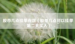 股市几点挂单有效（股票几点可以挂单第二天买入）