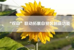 “双自”联动拓展自贸区创新功能