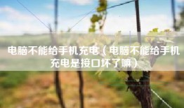 电脑不能给手机充电（电脑不能给手机充电是接口坏了嘛）