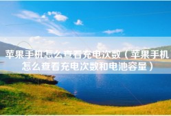 苹果手机怎么查看充电次数（苹果手机怎么查看充电次数和电池容量）