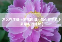 怎么在手机上显示时间（怎么在手机上显示时间地址）