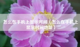 怎么在手机上显示时间（怎么在手机上显示时间地址）