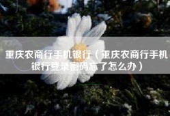 重庆农商行手机银行（重庆农商行手机银行登录密码忘了怎么办）