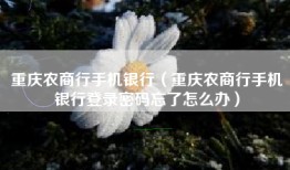 重庆农商行手机银行（重庆农商行手机银行登录密码忘了怎么办）