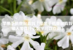 苹果手机查询真假（苹果手机查询真假输入零件什么数字可以查询）