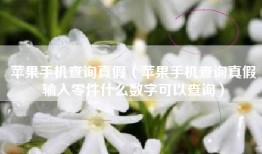 苹果手机查询真假（苹果手机查询真假输入零件什么数字可以查询）