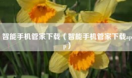 智能手机管家下载（智能手机管家下载app）