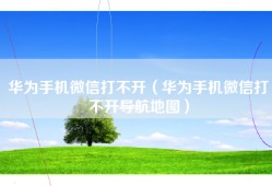 华为手机微信打不开（华为手机微信打不开导航地图）