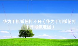 华为手机微信打不开（华为手机微信打不开导航地图）