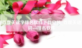 百度关键字排名软件下载安装_百度关键词seo排名软件