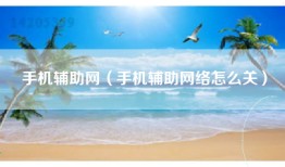 手机辅助网（手机辅助网络怎么关）