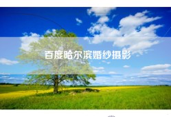 百度哈尔滨婚纱摄影