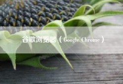 谷歌浏览器（Google Chrome）