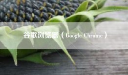 谷歌浏览器（Google Chrome）