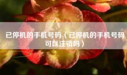 已停机的手机号码（已停机的手机号码可以注销吗）
