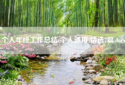 个人年终工作总结(个人通用)精选7篇.docx