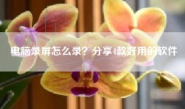 电脑录屏怎么录？分享4款好用的软件