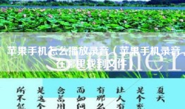 苹果手机怎么播放录音（苹果手机录音在哪里找到文件）