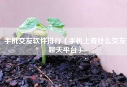 手机交友软件排行（手机上有什么交友聊天平台）