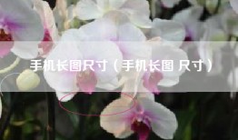 手机长图尺寸（手机长图 尺寸）