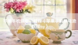 苹果手机换电池教程（苹果手机换电池教程6sp）