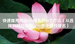 快速提升网站SEO排名的10个方法（从选择到网站架构，一步步提升排名）