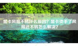 显卡风扇不转什么原因？显卡烫手了风扇还不转怎么解决？