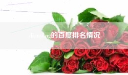 dianyi.ng的百度排名情况