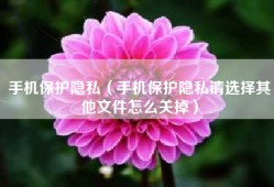 手机保护隐私（手机保护隐私请选择其他文件怎么关掉）