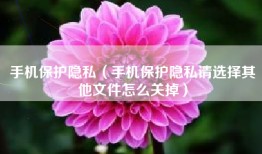 手机保护隐私（手机保护隐私请选择其他文件怎么关掉）