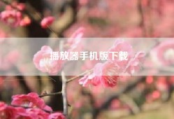播放器手机版下载