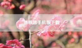 播放器手机版下载