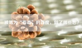 被骂为“百毒”的百度，做了哪些恶？