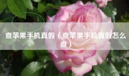 查苹果手机真假（查苹果手机真假怎么查）