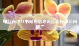 如何在小红书聚光信息流广告投放如何推广