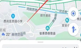高德地图怎么设置北斗地图__高德地图设置北斗地图的步骤教程手机北斗导航地图「高德地图怎么设置北斗地图__高德地图设置北斗地图的步骤教程」