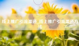 线上推广引流渠道_线上推广引流渠道方法