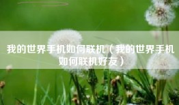 我的世界手机如何联机（我的世界手机如何联机好友）