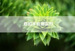 自拍手机哪款好