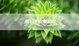 自拍手机哪款好