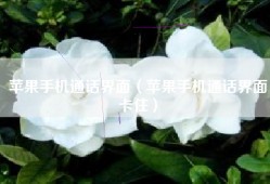 苹果手机通话界面（苹果手机通话界面卡住）