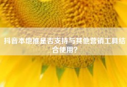 抖音本地推是否支持与其他营销工具结合使用？