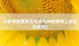 抖音本地推是否支持与其他营销工具结合使用？