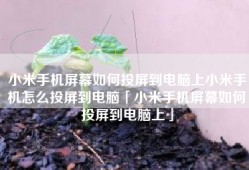 小米手机屏幕如何投屏到电脑上小米手机怎么投屏到电脑「小米手机屏幕如何投屏到电脑上」